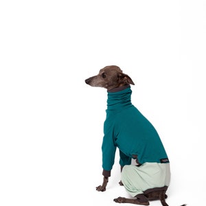 Italian Greyhound Jumpsuit | Whippet Onesie | Greyhound Jumpsuit Whippet pijama