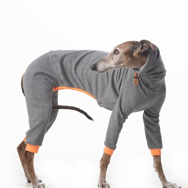 Combinaison super confortable pour lévriers, whippets et lévriers italiens | Sweat à capuche Whippet | Vêtements lévriers | La marque Galgo