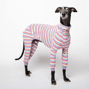 Stripped Pijama for Italian Greyhound | Whippet | Whippet Jumpsuit / Pijamas / Body Suit / Onesie / Clothes