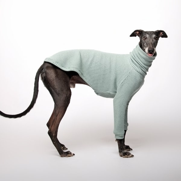 Warm Sweater for Italian Greyhound, Whippet and Greyhound ! Jumpsuit for Sighthounds |  The Galgo Brand