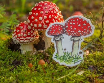 Vinyl Sticker - Amanita Mushroom - Alaskan Sticker