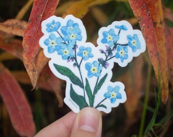 Vinyl Sticker - Forget-Me-Not - Wildflower Alaskan Sticker