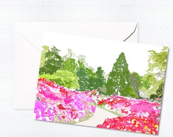 Isabella Plantation Greeting Card Box Set | Handmade Blank Cards | Hand Drawn | Colorful | Cute Illustration | London Art | Richmond Park