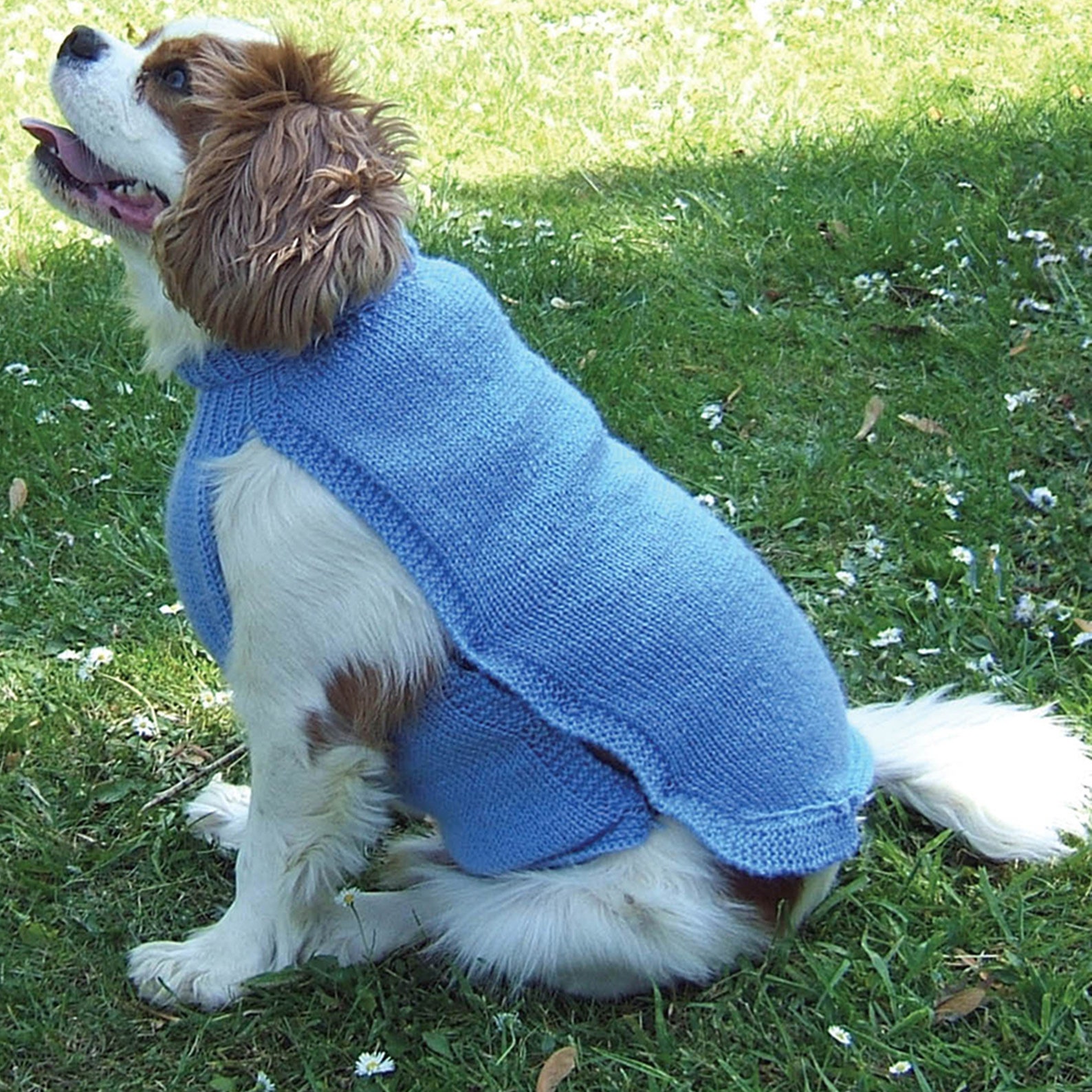 Knitting Pattern Dog Coats and Blanket in DK and Aran Yarn. Etsy UK