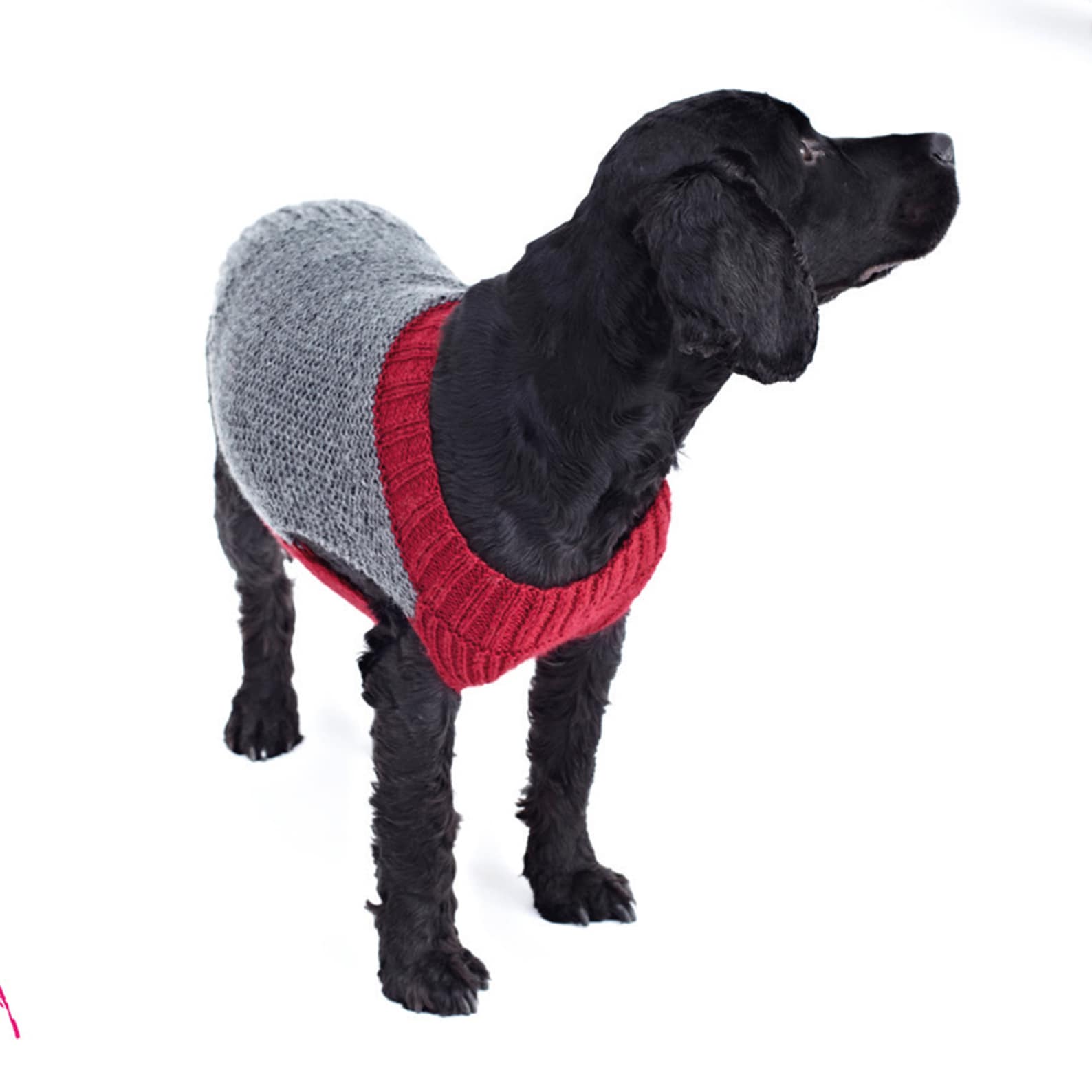 Knitting Pattern Dog Coats in DK Yarn. Three Dog Coats for Small