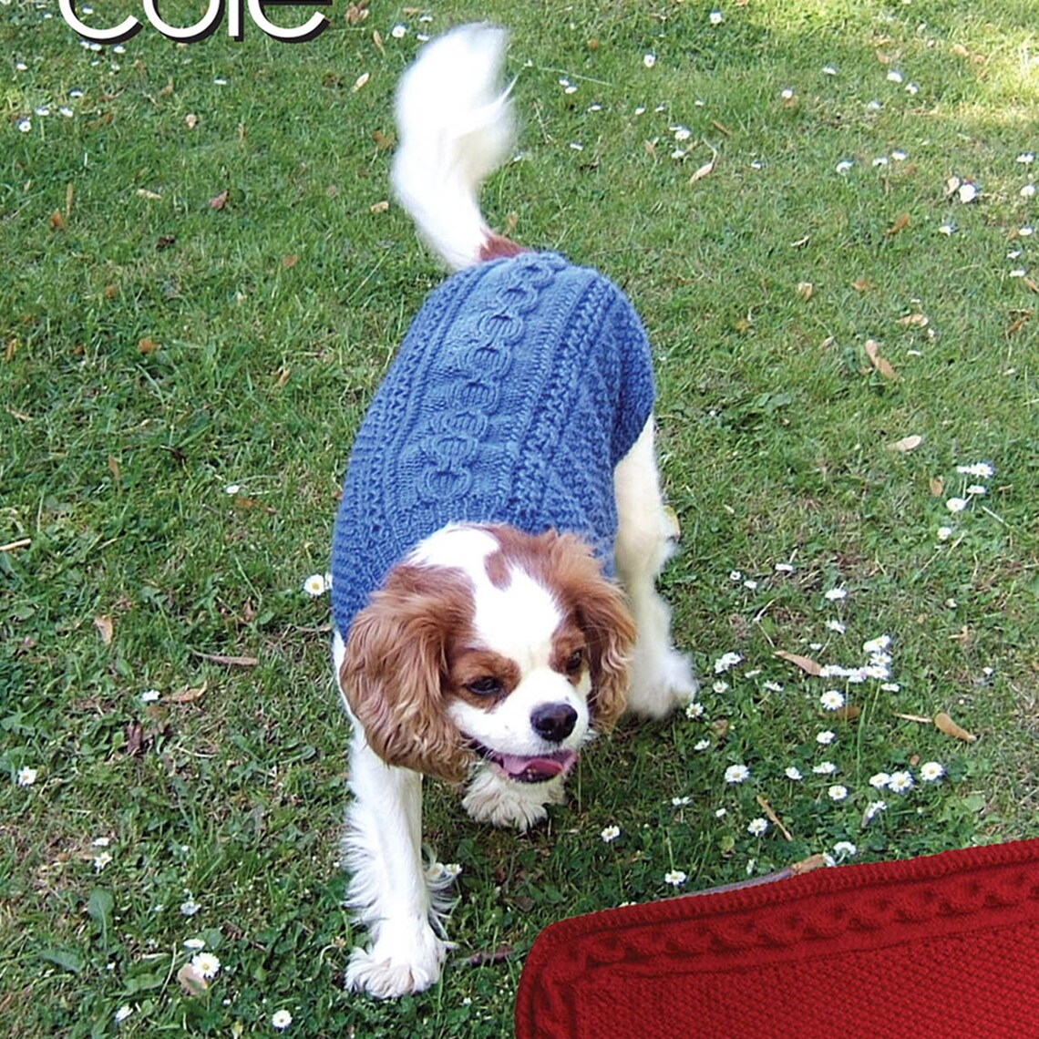 Knitting Pattern Dog Coats and Blanket in DK and Aran Yarn. Etsy UK