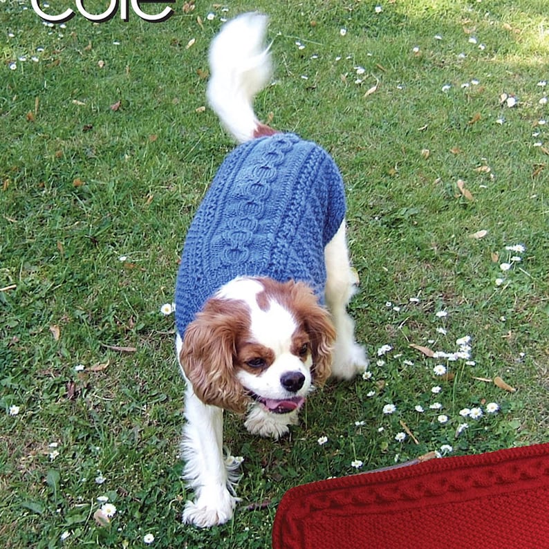 Knitting Pattern Dog Coats and Blanket in DK and Aran Yarn. Etsy UK