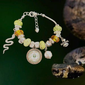 Florida HBCU Charm Bracelet