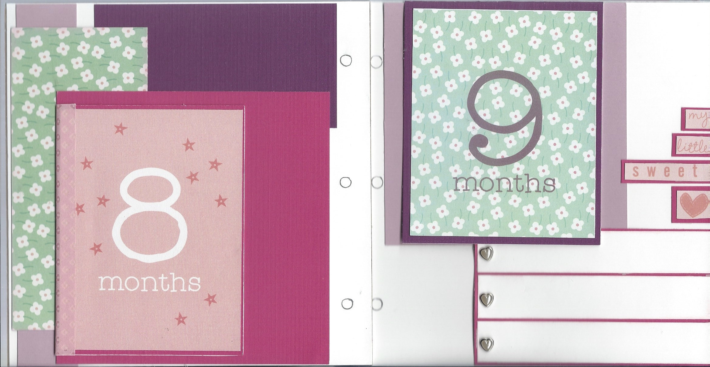 Baby Girl Scrapbook First Year Baby Book Baby Shower Gift Baby Girl