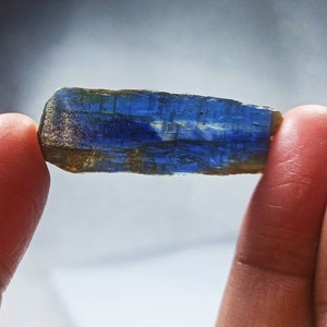 Pu&ograve; includere: Un cristallo di cianite blu e oro con striature. Il cristallo &egrave; lungo circa 5 cm ed &egrave; tenuto tra due dita.