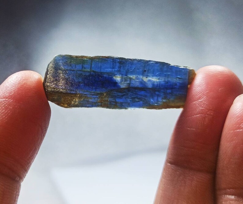 Pu&ograve; includere: Un cristallo di cianite blu e oro con striature. Il cristallo &egrave; lungo circa 5 cm ed &egrave; tenuto tra due dita.