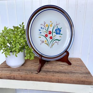 Pair of 2 Salem Stoneware 10&quot; Dinner Plates | Handcrafted Japan | Brown Band, Blue Rings, Wildflower Center | Oven Proof, Dishwasher Safe