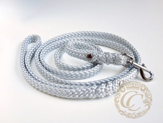 Dog leash for small dogs hotsell