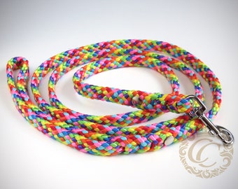 Dog leash paracord Rainbow, Small dog leash, PPM cord leash, Dog lead