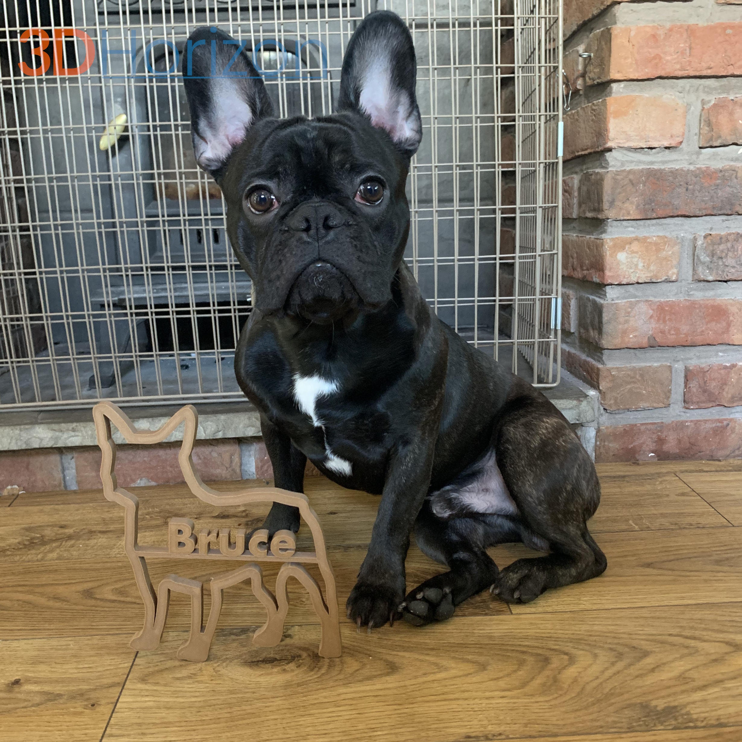 Personalised French Bulldog Decoration Wall Decor Home Etsy