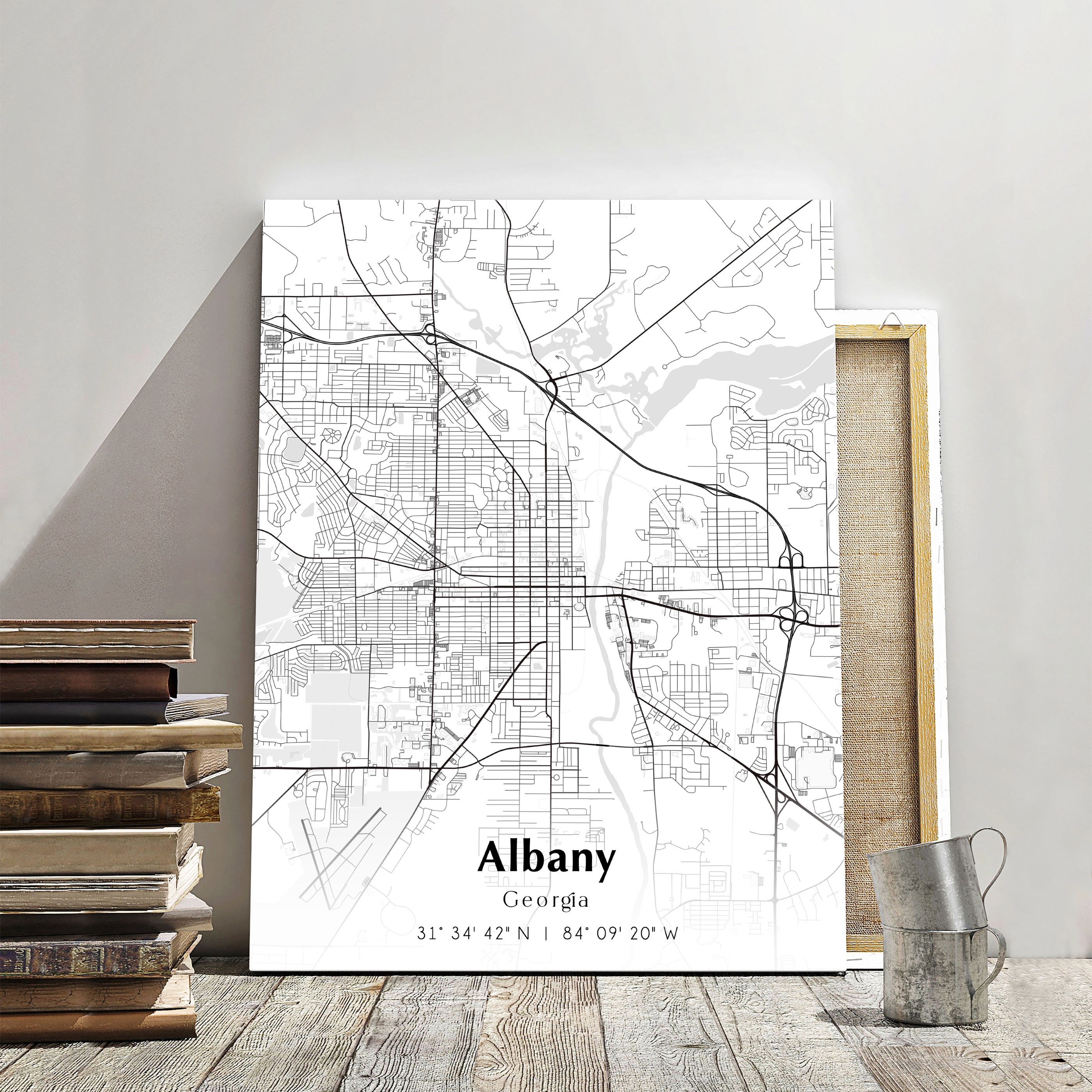 Map Of Albany Digital File Modern City Map Albany Printable Map Il 3o7m 