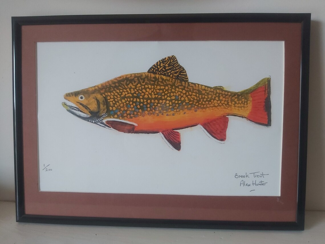 Brook Trout Limited Edition Art Print Etsy