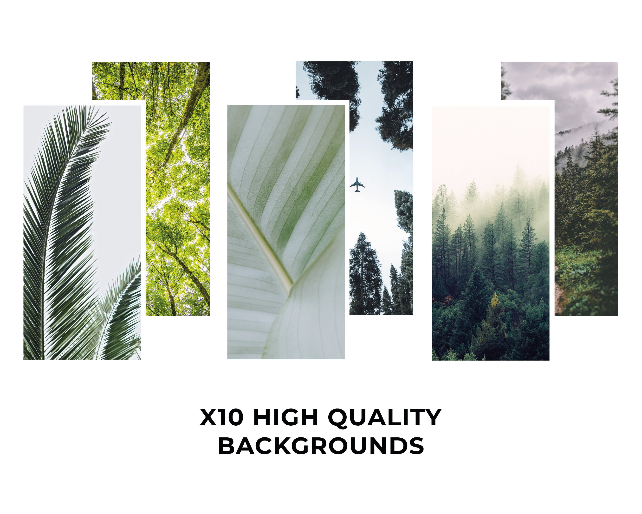 7500 Forest Green Aesthetic Ios 14 App Icons / Social Media Etsy