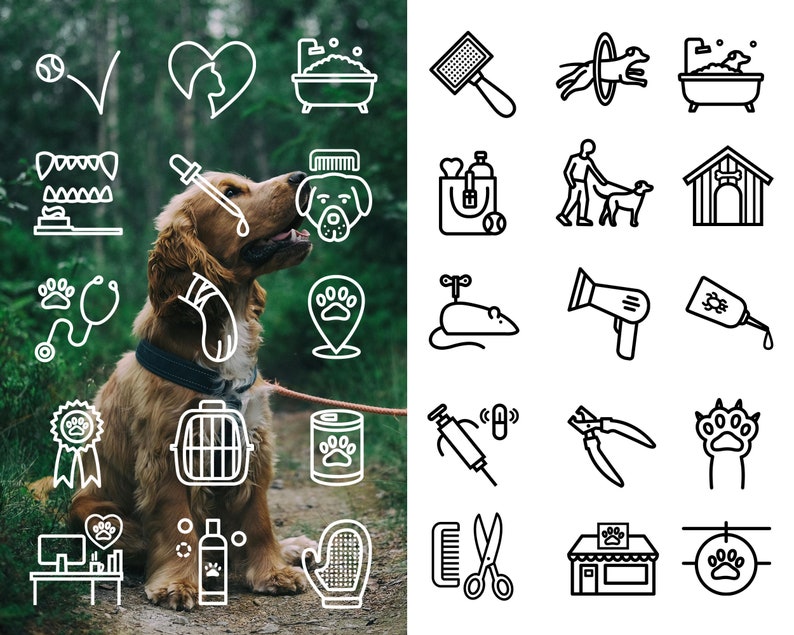 Pu&ograve; includere: Una collezione di disegni in bianco e nero che raffigurano vari articoli per la cura dei cani, tra cui una spazzola, un cane in un cerchio, una vasca da bagno, una cuccia, un guinzaglio, un giocattolo per cani, un asciugacapelli, un trattamento antipulci e antizecche, una siringa, un tagliaunghie, un'impronta di zampa, un pettine e delle forbici, un negozio di animali domestici e un'impronta di zampa su un cartello.