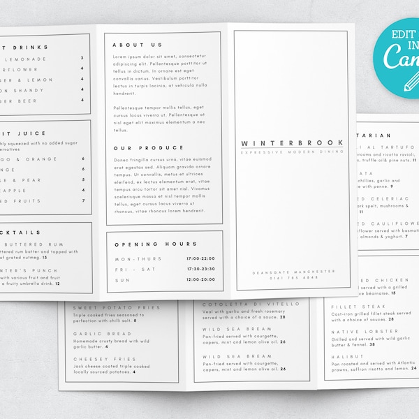 Tri Fold Price list Template / Editable Tri Fold Price list / Z Fold Menu / Folded Printable Salon Templates / Trifold Menu Template