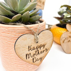 May include: A small succulent plant in a peach-colored pot with a heart-shaped wooden tag that says "Happy Mother's Day".