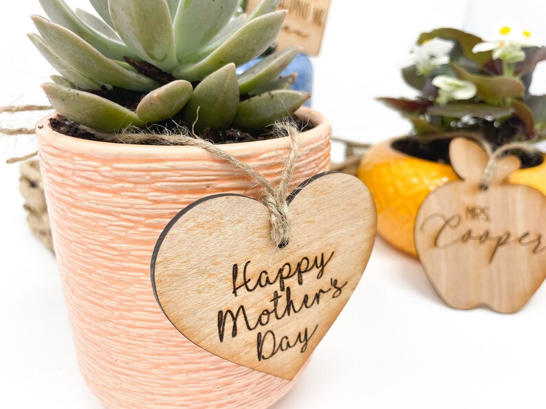 May include: A small succulent plant in a peach-colored pot with a heart-shaped wooden tag that says "Happy Mother's Day".