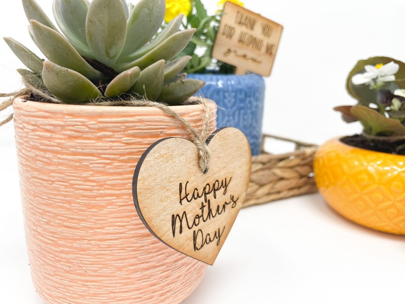 May include: Three potted plants with a heart-shaped wooden tag that says "Happy Mother's Day". The plants are in pink, blue, and yellow pots. The tag is tied to the pink pot with twine.