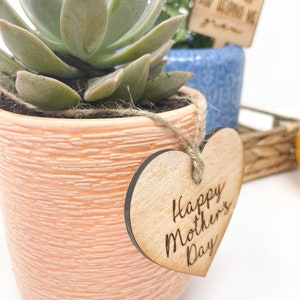May include: A succulent plant in a peach-colored pot with a heart-shaped wooden tag that says "Happy Mother's Day".