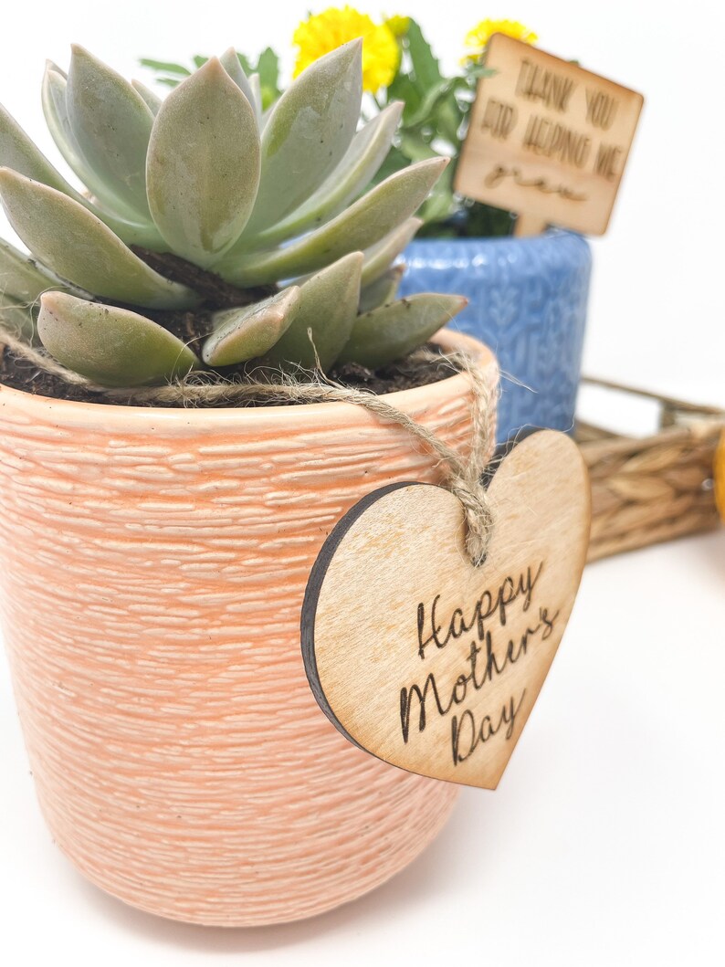 May include: A succulent plant in a peach-colored pot with a heart-shaped wooden tag that says "Happy Mother's Day".