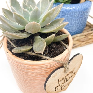 May include: A succulent plant in a peach-colored ceramic pot with a heart-shaped wooden tag that says "Happy Mother's Day".