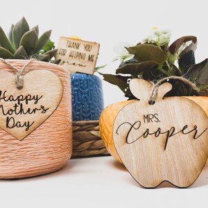 May include: Two potted plants with wooden tags. The first plant is a succulent in a pink pot with a heart-shaped tag that says "Happy Mother's Day". The second plant is a green plant in a yellow pot with an apple-shaped tag that says "MRS. Cooper".