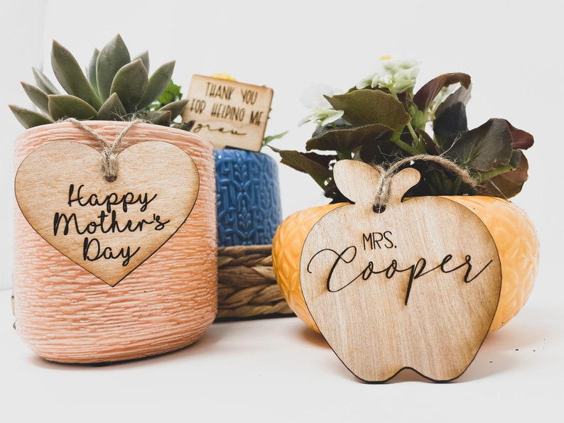 May include: Two potted plants with wooden tags. The first plant is a succulent in a pink pot with a heart-shaped tag that says "Happy Mother's Day". The second plant is a green plant in a yellow pot with an apple-shaped tag that says "MRS. Cooper".