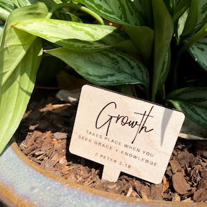 May include: Wooden plant marker with the word "Growth" written in cursive. The marker also includes the text "Takes place when you seek grace + knowledge. 2 Peter 3:18."