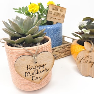 May include: Three potted plants with wooden tags. The first plant is a succulent in a peach-colored pot with a heart-shaped tag that says "Happy Mother's Day". The second plant is a yellow flower in a blue pot with a tag that says "Thank you for helping me grow". The third plant is a white flower in a yellow pot with a tag that says "Mrs. Cooper".