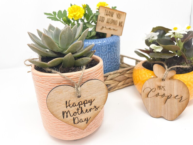May include: Three potted plants with wooden tags. The first plant is a succulent in a peach-colored pot with a heart-shaped tag that says "Happy Mother's Day". The second plant is a yellow flower in a blue pot with a tag that says "Thank you for helping me grow". The third plant is a white flower in a yellow pot with a tag that says "Mrs. Cooper".