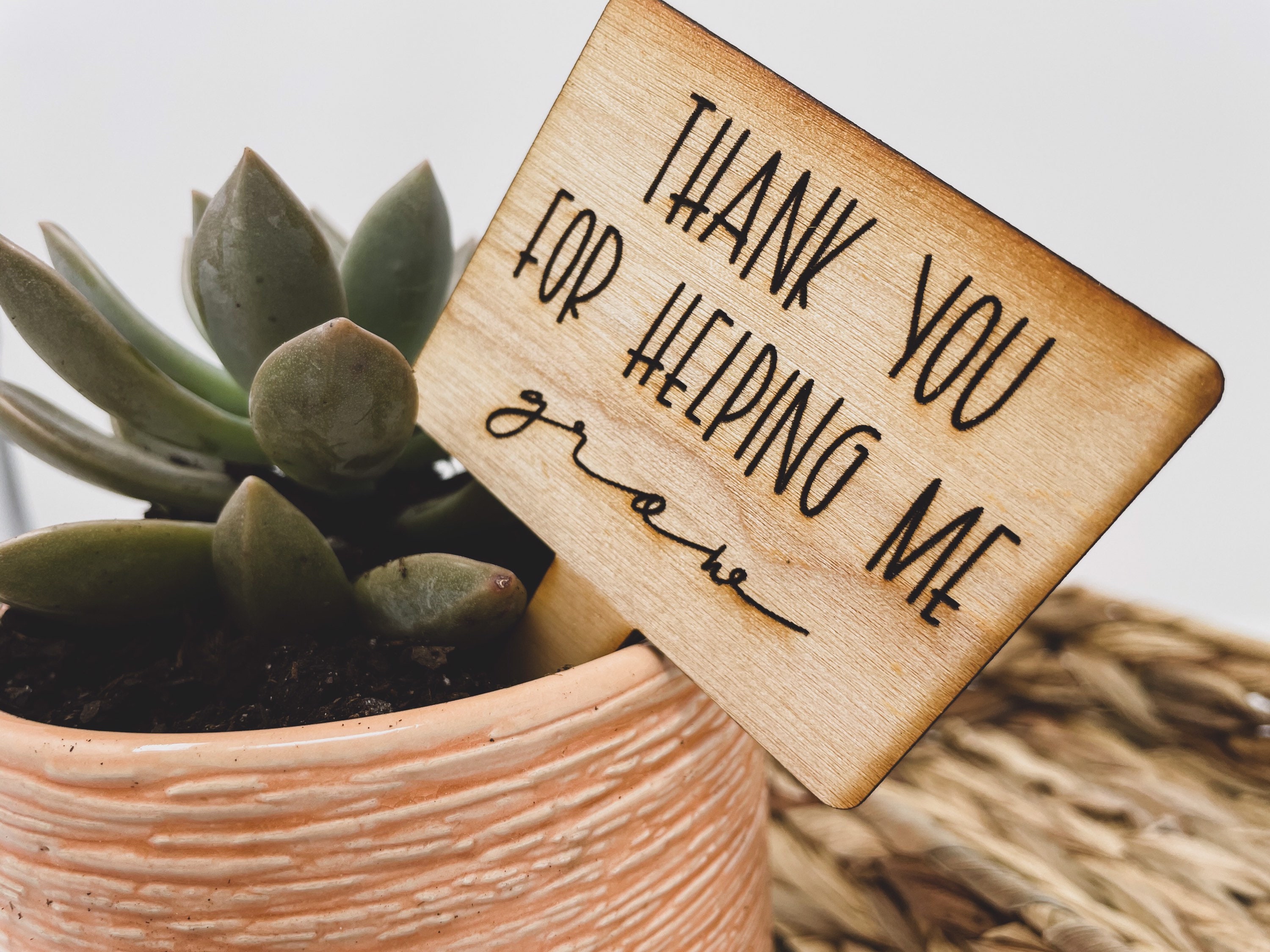 Teacher Appreciation Planter Tag / Teacher Gift from Student / Thank …