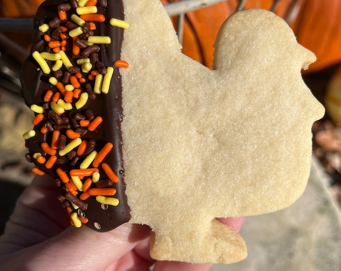 Thanksgiving Turkey Shortbread Cookie