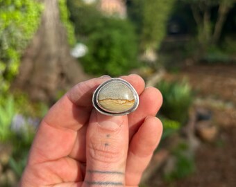 Owyhee Picture Jasper Ring! Size 9.5
