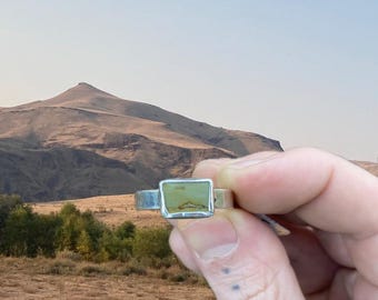 Anillo de jaspe paisaje Owyhee, talla 12
