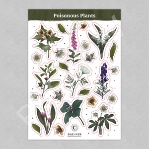Stickerset: giftige planten / stickervel bloemen / Witchy / Dark Art-stickers / Hekserij / Gothic-stickers