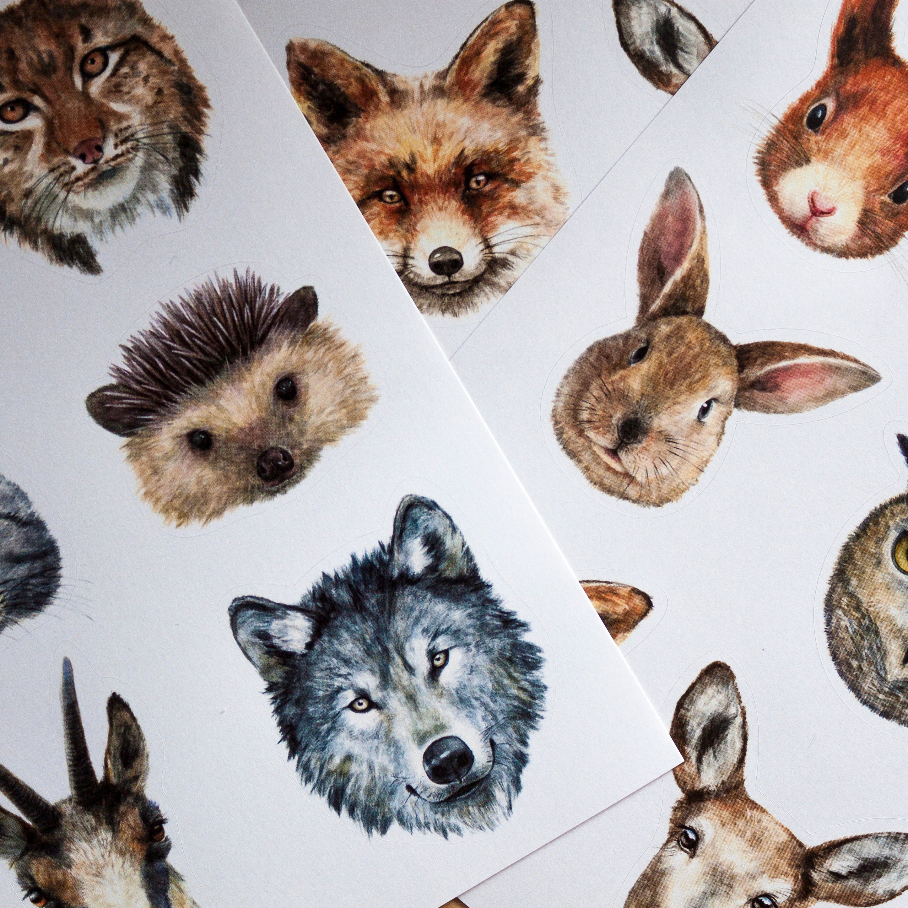 Aquarell Sticker Set: Tiere / Waldtiere / Ideal als Geschenk / | Etsy