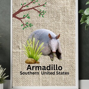 Impresión de armadillos salvajes, arte de animales exóticos para niños, impresiones educativas, carteles de animales únicos, arte animal, impresiones imprimibles para niños,