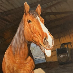 Regalos de caballo Arte de caballo Retrato de mascota personalizado de foto Pintura de caballo Retrato al óleo Regalo hecho a mano Retrato de caballo Memorial de caballo