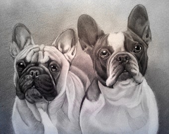 Pencil Pet Dog Sketch, Sketch Of Your Dog Or Cat Or Pet