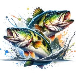 12 Imágenes PNG Saltando Bass Fish Clipart Fondo Transparente