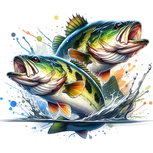 12 PNG Images Jumping Bass Fish Clipart Transparent Background