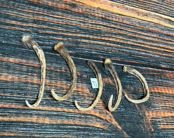 5 real Opossum Tails cured Witchcraft Voodoo Spell Skull taxidermy mount repair Craft Art Supply oddity Halloween Decore weird Unique