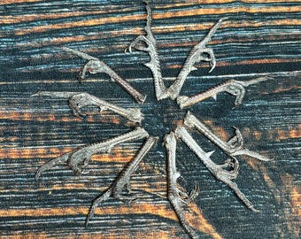 10 Flipping bird Pheasant feet art animal mount repair Witchcraft voodoo art supply unique craft decor dried cured education model bird odd