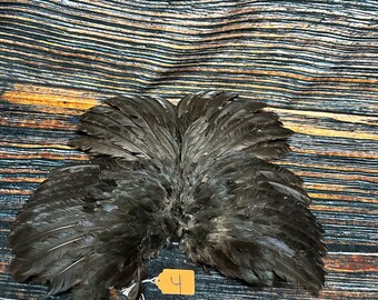 2 Chicken wings feathers plume millinery art fan Bustle Fly fishing Tying Craft art Supplies Supply Jewelry taxidermy Animal Mount costume