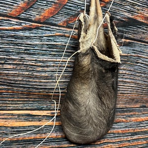 XXXL BULL scrotum Oddities HUGE ball bag Unique gift Odd Nut Sack black angus Gag gift Christmas birthday man cave gothic witchcraft art